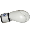 Fairtex BGV1 Boxing Gloves Universal White