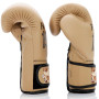 Fairtex BGV25 F-Day 2 Boxing Gloves" 