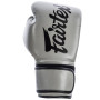 Fairtex BGV14 Boxing Gloves Gray