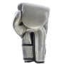 Fairtex BGV14 Boxing Gloves Gray