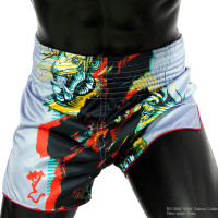 Fairtex BS1908 Muay Thai Boxing Shorts "Satorus" Gray Free Shipping