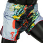 Fairtex BS1908 Muay Thai Boxing Shorts "Satorus" Gray Free Shipping