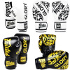 Fairtex BGVG2 "Glory" Boxing Gloves Velcro Black