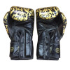 Fairtex BGVG2 "Glory" Boxing Gloves Velcro Black