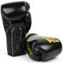 Fairtex BGVG1 "Glory" Boxing Gloves Velcro Black 