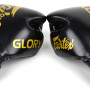 Fairtex BGVG1 "Glory" Boxing Gloves Velcro Black 