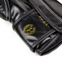 Fairtex BGVG2 "Glory" Boxing Gloves Velcro Black