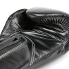 Fairtex BGVG2 "Glory" Boxing Gloves Velcro Black