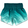 Fairtex BS1906 Muay Thai Boxing Shorts "Fade" Green Free Shipping