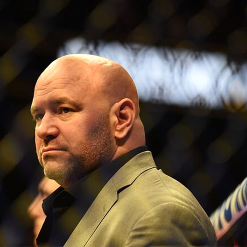 UFC 249 CANCELED, ALL UPCOMING UFC CARDS POSTPONED INDEFINITELY