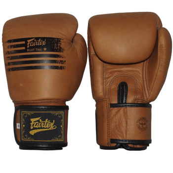 Fairtex BGV21 Boxing Gloves "Legacy" Premium Class