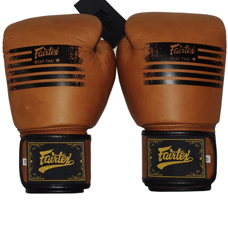 Fairtex BGV21 Boxing Gloves "Legacy" Premium Class