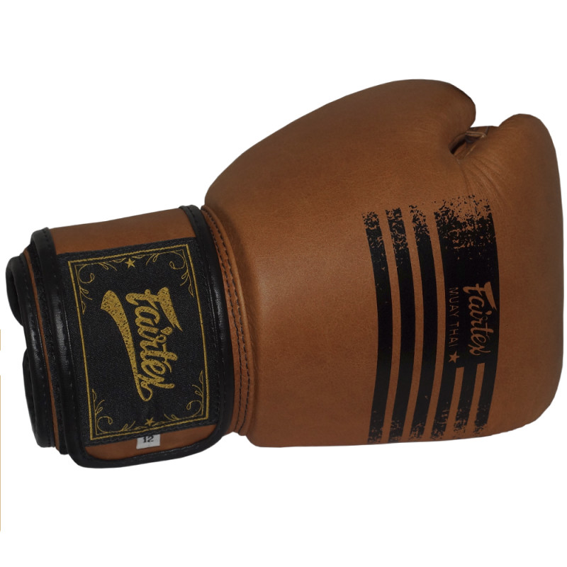 Fairtex BGV21 Boxing Gloves "Legacy" Premium Class