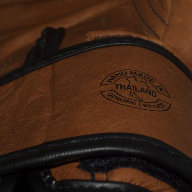 Fairtex BGV21 Boxing Gloves "Legacy" Premium Class