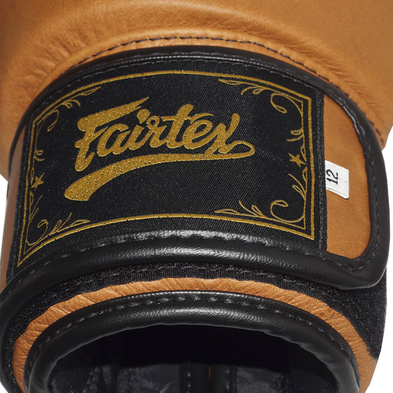 Fairtex BGV21 Boxing Gloves "Legacy" Premium Class