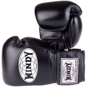 Windy BGP Boxing Gloves "Proline" Black