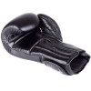 Windy BGP Boxing Gloves "Proline" Black