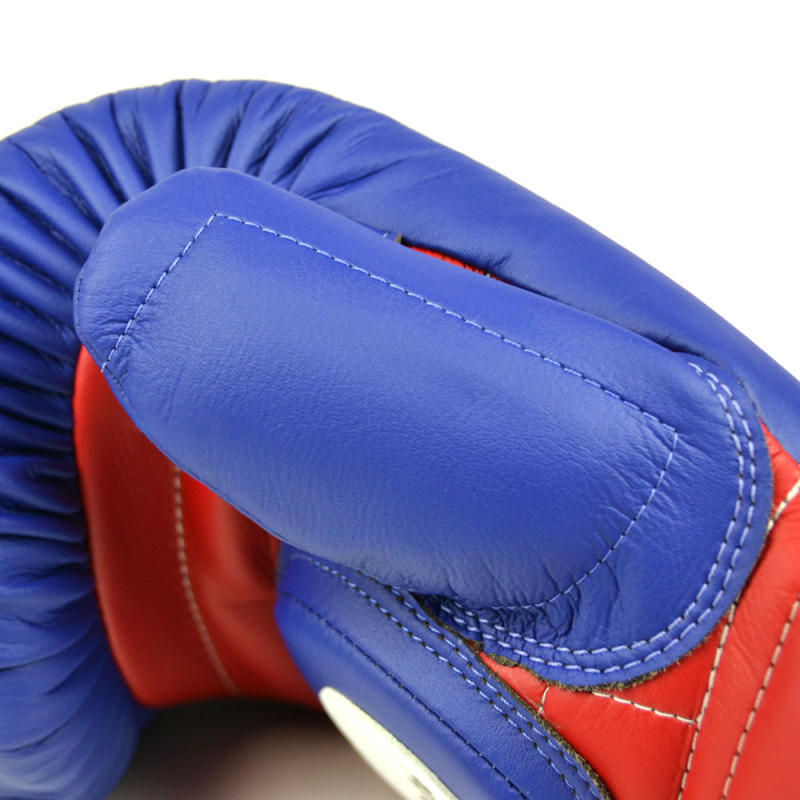 Fairtex BGV13 Boxing Gloves "Coaching-Sparring" Blue