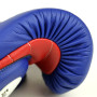 Fairtex BGV13 Boxing Gloves "Coaching-Sparring" Blue