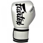 Fairtex BGV14 Boxing Gloves Gray