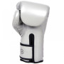 Fairtex BGV14 Boxing Gloves Gray