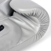 Fairtex BGV14 Boxing Gloves Gray