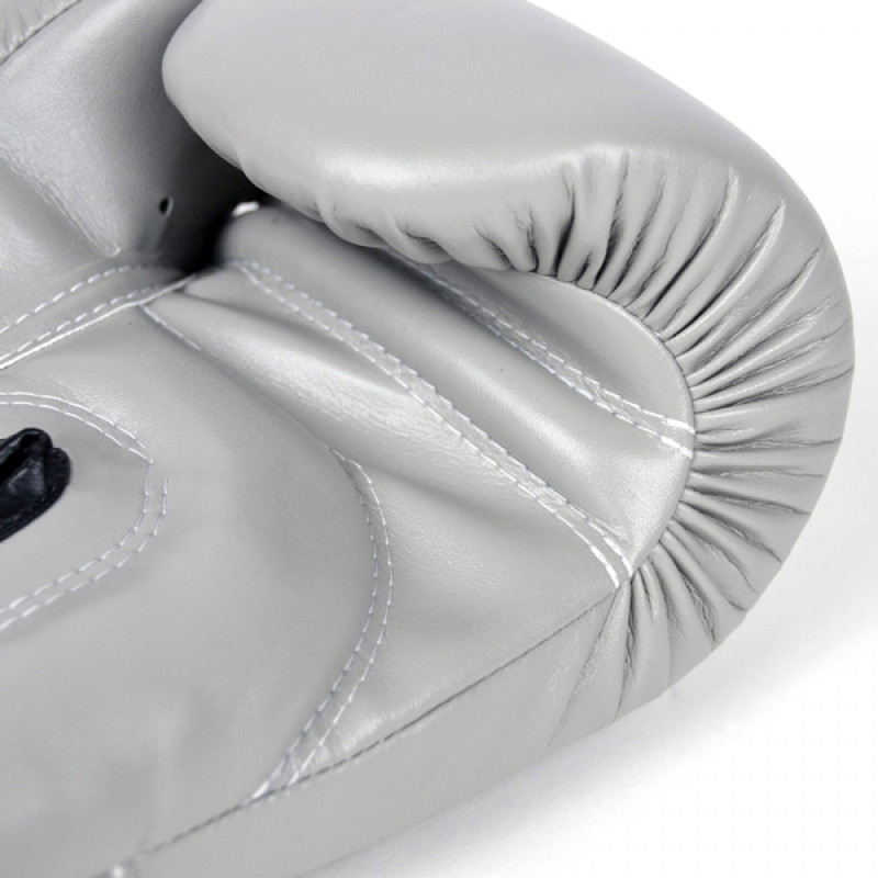 Fairtex BGV14 Boxing Gloves Gray