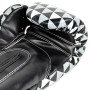 Fairtex BGV14 Boxing Gloves "Optical"