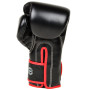 Fairtex BGV14 Boxing Gloves Black 