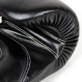 Fairtex BGV14 Boxing Gloves Black 