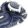 Fairtex BGV14 Boxing Gloves "Japanese Art"