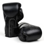 Fairtex BGV14 Boxing Gloves Black Solid