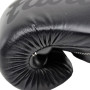 Fairtex BGV14 Boxing Gloves Black 